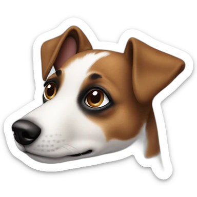 Dog jack russel tache noir autour des yeux sticker