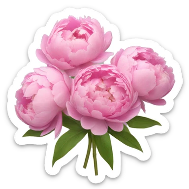 Bouquet of pink peonies sticker