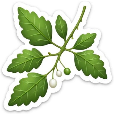 The type of mistletoe you kiss under sticker