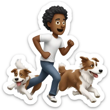 Man running with two border collies  sticker