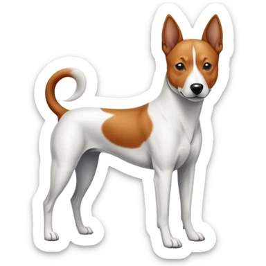 chien basenji blanc avec taches noires sticker