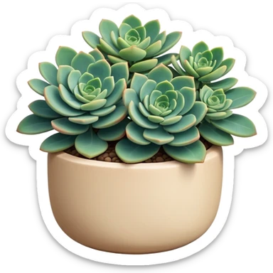 Sedum Pachyphyllum succulent plant with blue-green thick leaves in a beige ceramic pot sticker