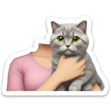 woman with green eyes and glasses and long wavy blonde hair and in a pink shirt is holding a very fluffy and fat grey Scottish fold cat sticker