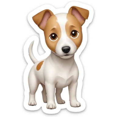 a full body white jack russel looking dog the size of a kelpie with light brown ears and a light brown patch on one eye and a large snout sticker