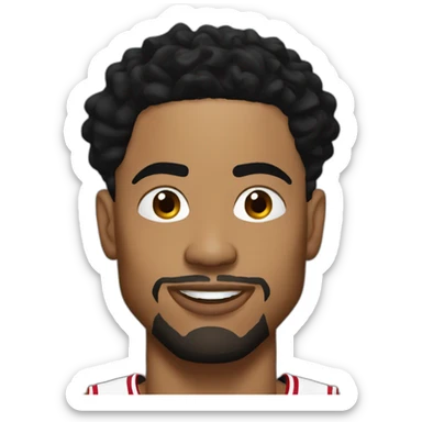 Derrick rose sticker