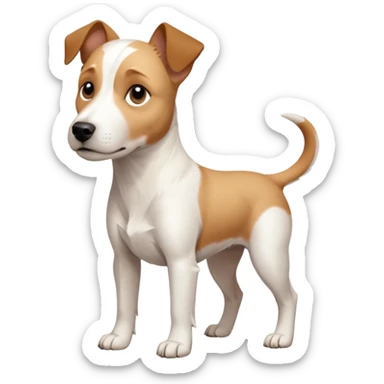 a full body facing front on of a buff white parson russell terrier looking dog the size of a kelpie with light brown long ears resting on its face and a light brown patch above one eye and a large snout. the rest of the dog is completely white.  sticker