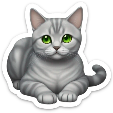 Silver Shaded British Shorthair with green eyes lying on the floor sticker
