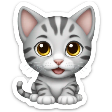 gray kitten 3 months old with tiger color sticker