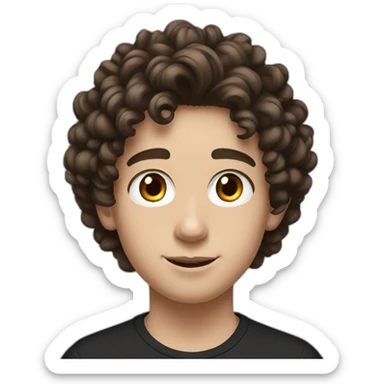 a white teenager boy with big brown eyes and middle partedlong coiled curly brown hair, wearing a black t-shirt with white airpods sticker