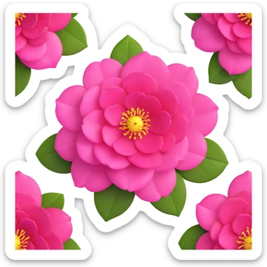 Detailed pink camellia flower with perfectly arranged petals and shiny dark green leaves sticker