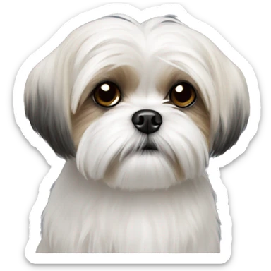 maltese shih tzu sticker