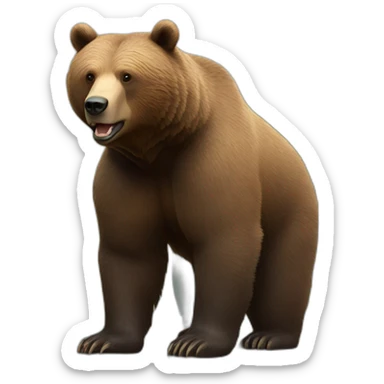 brown bear with urban flow sticker