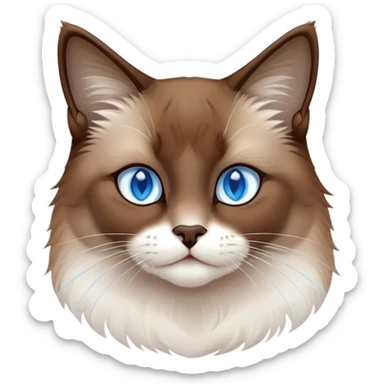 Cinematic Noble Brown Mantle Snowshoe Cat Portrait Emoji, Poised and regal, with sleek brown fur draping elegantly over its back like a mantle, contrasted by a crisp white chest, paws, and facial markings, piercing icy-blue eyes, Simplified yet sharp and sophisticated features, highly detailed, glowing with a soft, dignified glow, high shine, intelligent and graceful, stylized with an air of elegance, focused and attentive, soft glowing outline, capturing the essence of a watchful and refined feline, so majestic it feels as though it could glide across the screen with effortless confidence! sticker