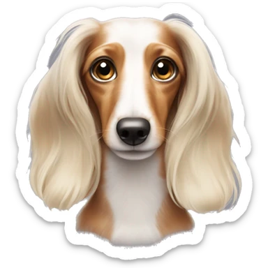 White and tan long haired dachshund with freckles sticker