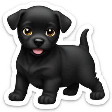 All black only peekapoo puppy. No white fur. Underbite with teeth showing. Small.  sticker