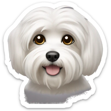 havanese dog with white eyebrows, black around the eyes and ears and white around the mouth sticker