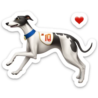 Greyhound running with sash with number "1" sticker
