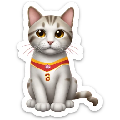 Cat wearing a chiefs jersey sticker