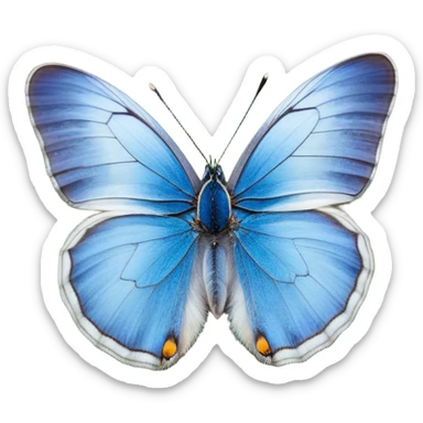 Cinematic Realistic Cute Yawning Blue Butterfly Portrait Emoji, Head tilted slightly with a dramatic, wide-open yawn, showcasing soft, downy sapphire wings with delicate, natural droop and half-closed, drowsy eyes rendered in exquisite detail, high shine, relaxed yet expressive, styled with a dash of subtle garden charm, soft glowing outline, capturing the essence of a sleepy yet affectionate blue butterfly that appears ready to rest its wings in quiet, enchanted slumber! sticker