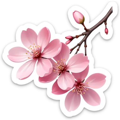 Single elegant pink cherry blossom (sakura) flower on a branch with soft pink petals, delicate shape, and subtle gradient sticker