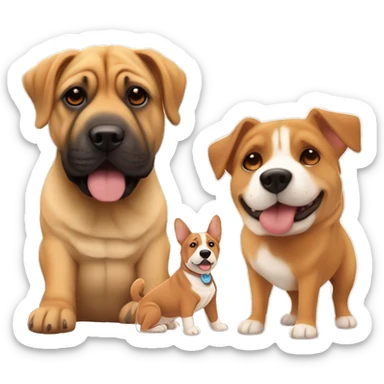 Sharpei Mix with corgi and Rottweiler brown small dog.￼￼ sticker