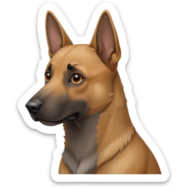 chien Malinois croisé, couleur poils grise, yeux gris et poils mi long sticker