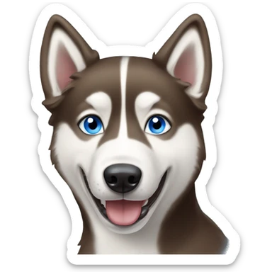 Brown and white husky with blue eyes with his tongue sticking out  sticker