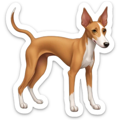 perro podenco sticker