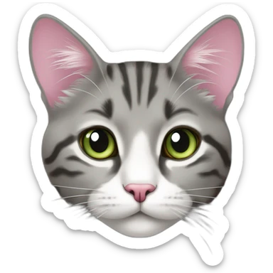 cat Tabby (Mainly black and gray) fluffy-dark-grey-cat pink-nose light-green-eyes,-white-long-whiskers,-white-spots-near-the-nose sticker