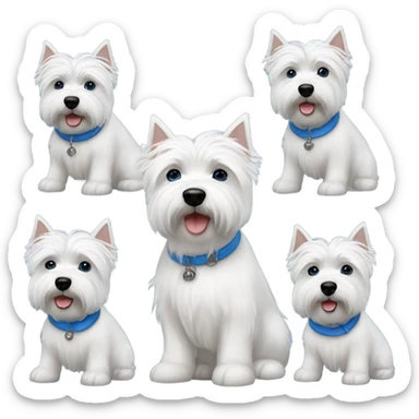 Lady short gray hair with blue eye 3 westie dogs sticker