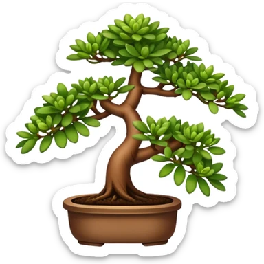 Plant with tubular leaves (Crassula Ovata Golum) with the appearence of a bonsai sticker
