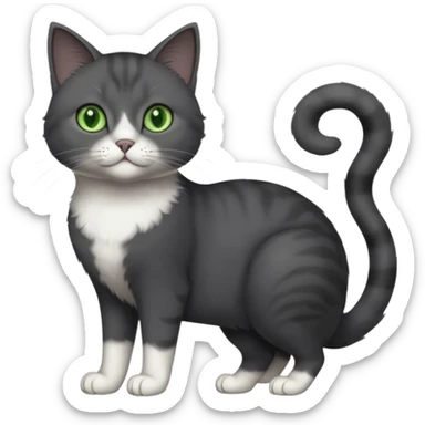 full body view of beautiful female solid dark grey cat with green eyes, white toes/paws and white patch on her chest sticker