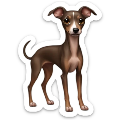 full body all brown and black italian greyhound chihuahua sticker