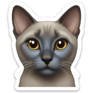 Blue mink tonkinese cat sticker