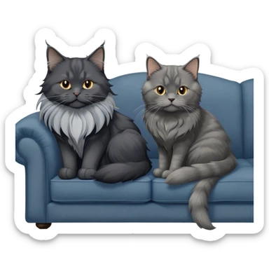 Portrait of a black smoke Maine Coon cat with long grey ear tufts, alongside a British Shorthair cat with a solid blue coat on sofa. Both cats with detailed fur textures and playful expressions. Soft, elegant background of room with warm, natural tones. Transparent background. sticker