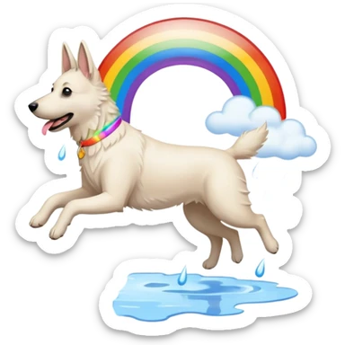White belgian Shepard jumping over Rain puddles. There is a rainbow in the sky sticker