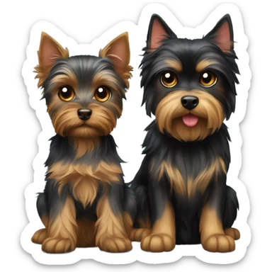 Yorkshire terrier dog and Bombay cat sticker