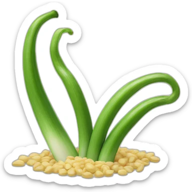 scallion sticker