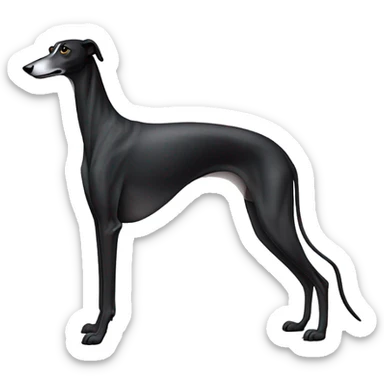 black greyhound white background sticker