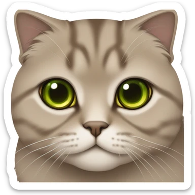 Brown scottish fold cat with green eyes  sticker