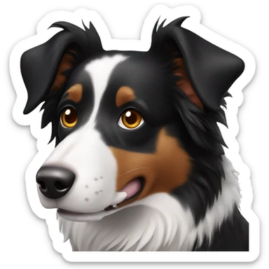 Black and white border collie with dark brown eyes sticker