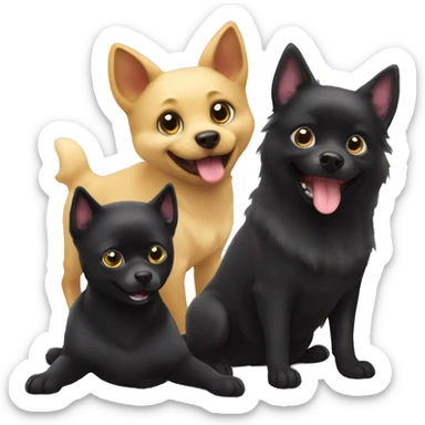 Schipperke dog playing with Burmese cat  sticker