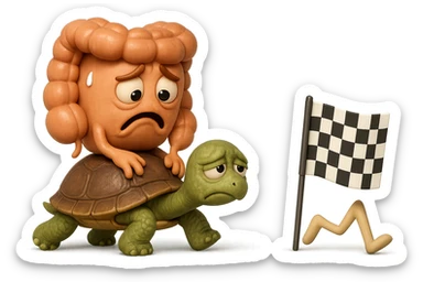  EMOJI STILE IPHONE 3D DI UN INTESTINO CON ESPRESSIONE ANGOSCIATA CHE CAMMINA SEDUTO IN GROPPA SUL GUSCIO DI UNA TARTARUGA IN ATTESA ESTENUANTE DI RAGGIUNGERE UN TRAGUARDO POCO PIù AVANTI, SULLA LORO DESTRA. IL TRAGUARDO è UNA BANDIERA A DUE PIEDI CON FASCIA A SCACCHI BIANCHI E NERI. iperrealistico 4k sticker