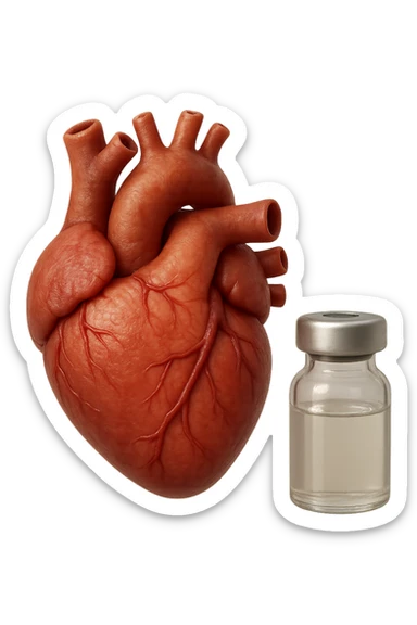 emoji stile iphone di cuore anatomico realistico in 3d che fluttua in aria insieme a una boccetta di fiala medica, FALLO MOLTO REALISTICO IN 3D sticker