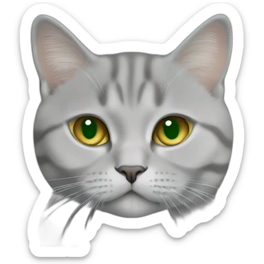 green eyes, golden british shorthair, and silver golden british shorthair kissing each other sticker