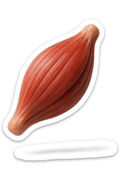 porzione di tessuto muscolare umano iperrealistico fluttua in aria, iperrealistico 4k sticker