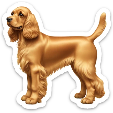 Dog-golden-english-cocker-spaniel-standing sticker