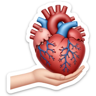 hand holding heart organ sticker