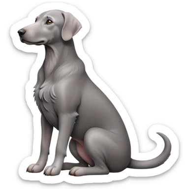 cinematic-[weimeraner-realistic-full-body-sitting-emoji,-tail-resting-loosely-beside-its-paws,-head-tilted-dramatically, -sleek-[grey]-fur,-simplified-yet-realistic-focused-features,-highly-detailed,-glowing-with-an-almost-sarcastic-glow sticker
