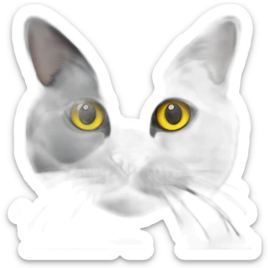 A Full british shorthair cat in the Color black smoke with yellow eyes sticker